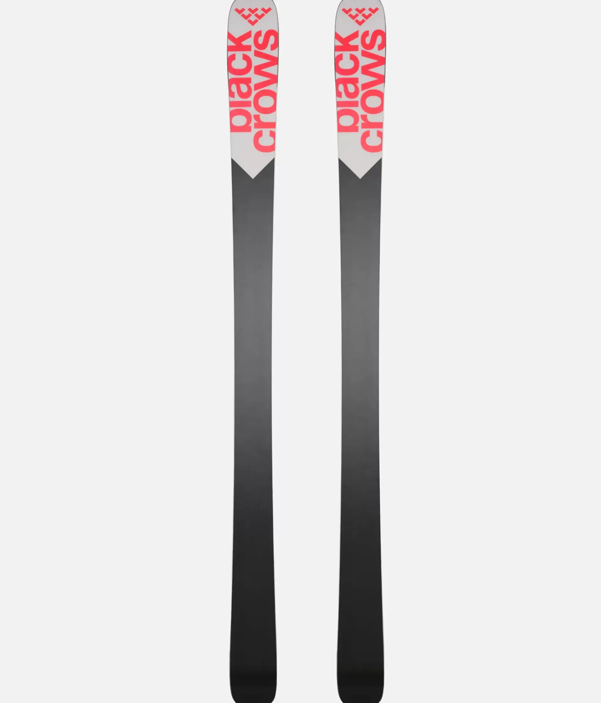 New Black Crows Camox
