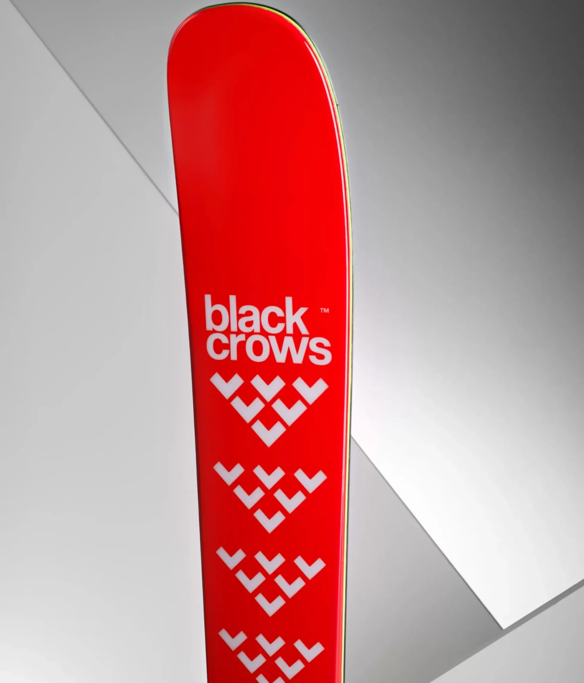 New Black Crows Camox