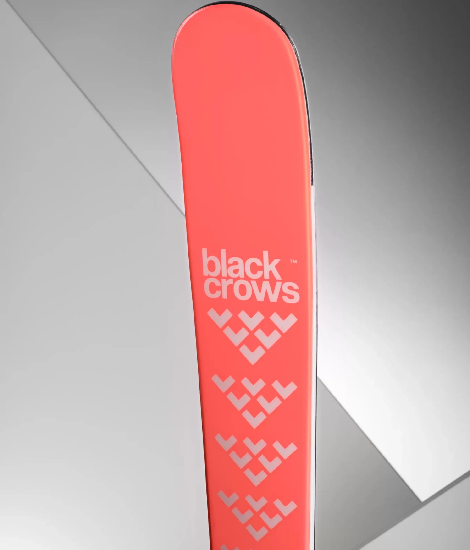 Best Black Crows Camox Birdie Jr