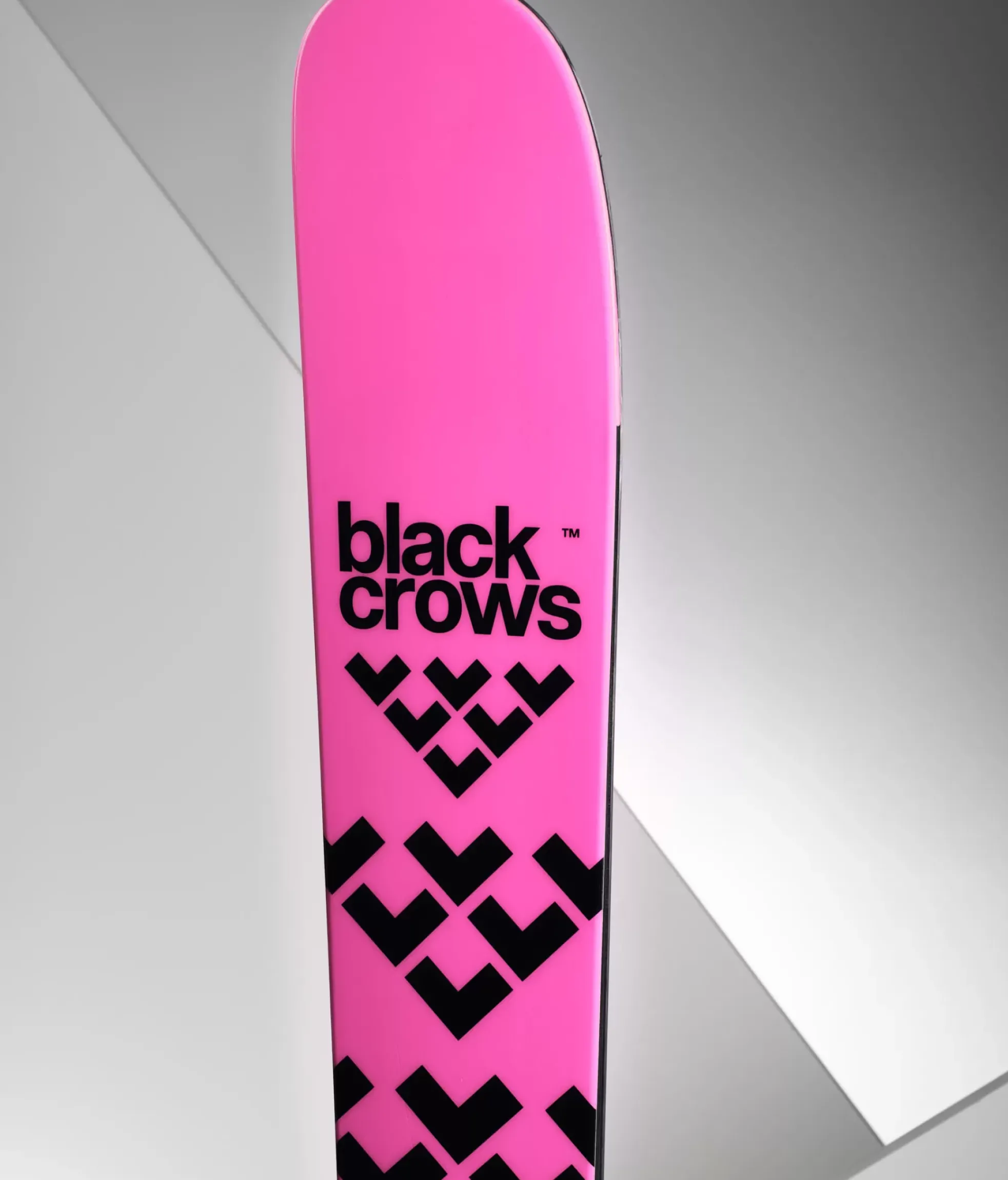 Hot Black Crows Corvus